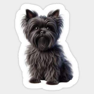 Affenpinscher Sticker